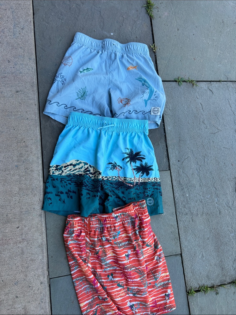 Swim Shorts bundle Abercrombie and Disney 🌊🦀🐙🐬